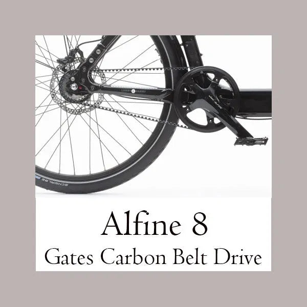 Alfine 8 Belt Drive