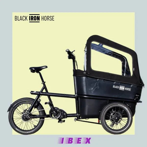 IBEX