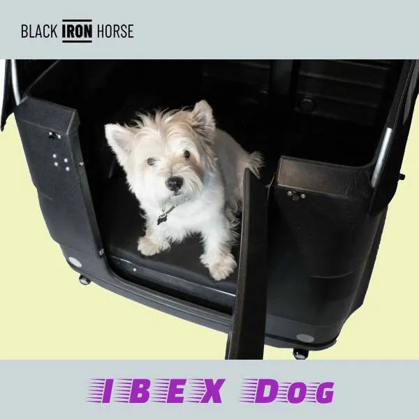 IBEX