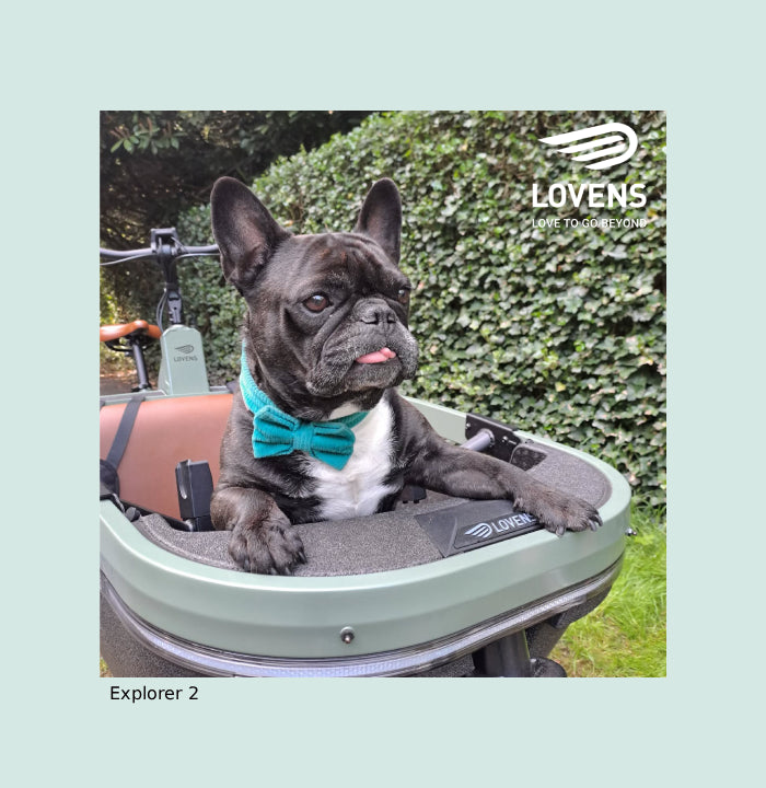 Lovens Explorer 2 Dog / Hond