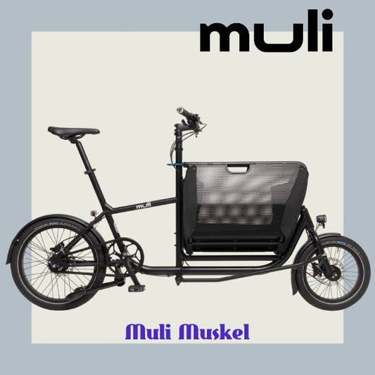 Muli Muskel