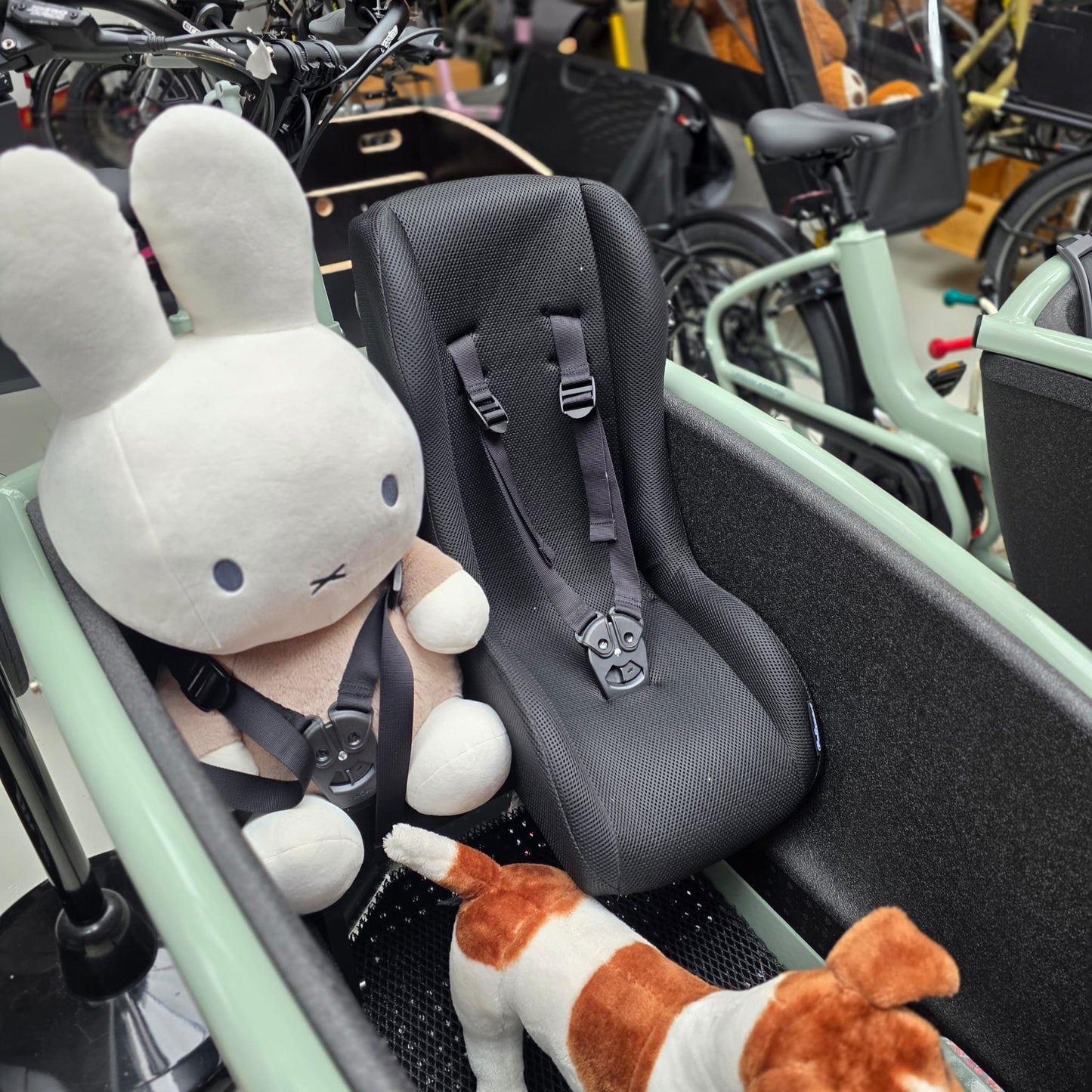 Peutershchaal voor bakfiets