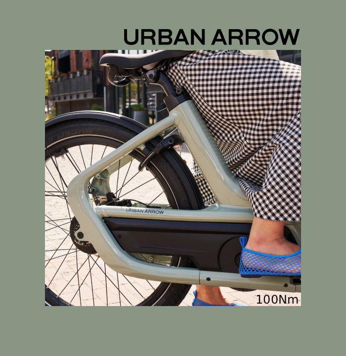 Urban Arrow Family Next² Pro Achter frame