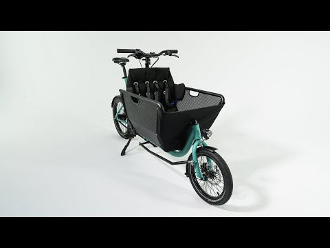 Muli Motor eu